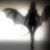 Monica Angel's profile image