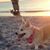 Maria Callison's profile image