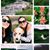 Jaclyn Patterson's profile image