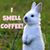 Mary Ann Hodges's profile image