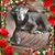 Pamela Doyle Dean's profile image