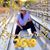Melissa Weinert's profile image
