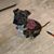 Allyson Chelsey Fritz's profile image