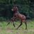 Dawn Spencer's profile image