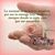 Mohanna Mohanna's profile image