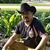Elpuma Camarillo's profile image