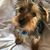 Janice Roberts Blalock's profile image