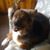 E Kaye Stacey's profile image