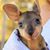 Cara Wolf-Vaughn's profile image