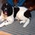 Sharon LaPlume's profile image