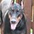 Tracy Sweeney's profile image