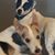 Pam Hale-Dunn's profile image