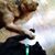 Dawn Fischbach Falkenstein's profile image