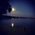 Susan Reardon's profile image