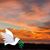 Pat Wolfgram's profile image