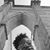 C Renee Wilson's profile image
