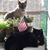 Cristina Bunnell Messore's profile image