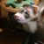 Kathleen Diane Dodson's profile image