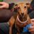 Lori Mastin Gibbs's profile image
