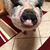 Laura Sizemore Casto's profile image