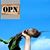 Other Possibilities's profile image