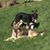 Craig Nemeyer's profile image