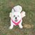 Lynn Gatti's profile image
