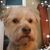 Diana L. Gilles's profile image