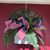 Terri Langford Martin's profile image