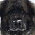 Dona Schmidt Costlow's profile image