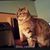 Cat Wallis's profile image