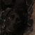 Heather G. Frank's profile image