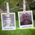Jim McCrystal Sr.'s profile image