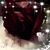 Rebeca L Cervantes's profile image