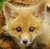 Katelynn M.'s profile image
