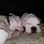 Paula Beasley's profile image