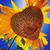 Amanda Jones's profile image