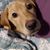 Stacey Ducat's profile image