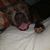 Jennifer Bratton's profile image