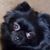 Karen Lorraine's profile image