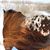 Jana Bircher Johnston's profile image