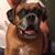 Danny D Pender's profile image