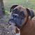 Lori Stewart's profile image