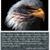 Warren Morgan's profile image