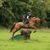 Julianna O'Brien's profile image
