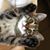 Sue Puffer's profile image