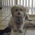 Ellen Gentile's profile image