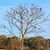 Daniel Lee Gallegos's profile image