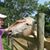Pauline McGowan's profile image
