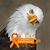 Toby K Culp's profile image
